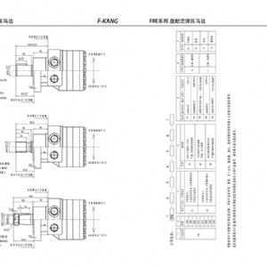 FRE系列擺線液壓馬達(dá)