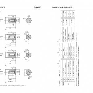 BM4系列擺線(xiàn)液壓馬達(dá)